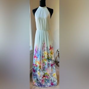 Ted Baker Maxi Dress